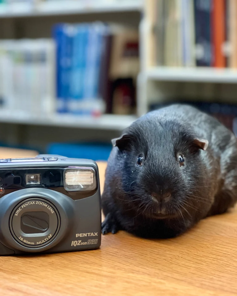 Our in-house photographer, Winnie, is looking for volunteers!

McArthur Library is excited to spotlight our programs, spaces, and community on social media and our website - and we’d love your help. We’re looking for volunteers 𝗼𝗳 𝗮𝗹𝗹 𝗮𝗴𝗲𝘀 to be featured in photos.

Join us on Monday, May 4!

Call or email Jenn at jzavala@mcarthurlibrary.org with questions or to schedule a time to stop by.