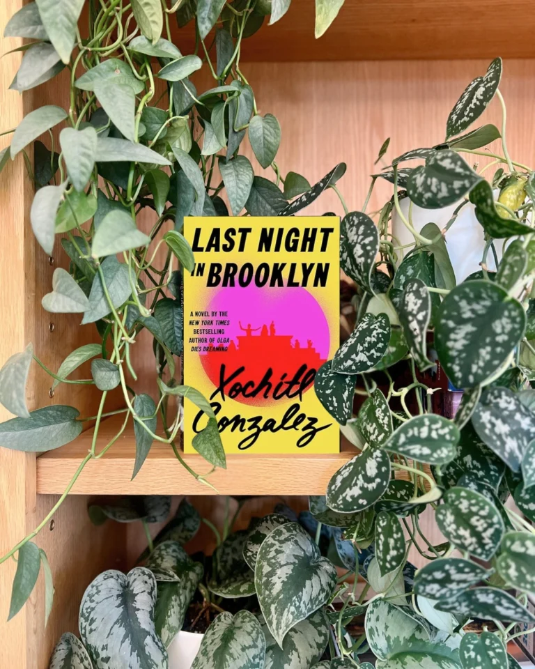 𝑪𝒐𝒎𝒊𝒏𝒈 𝒔𝒐𝒐𝒏!

Get a sneak peek at the books we have headed this way.

𝘛𝘩𝘦 𝘗𝘢𝘳𝘪𝘴 𝘔𝘢𝘵𝘤𝘩 by Kate Clayborn
𝘛𝘩𝘦 𝘉𝘰𝘰𝘬 𝘞𝘪𝘵𝘤𝘩 by Meg Shaffer
𝘓𝘰𝘯𝘥𝘰𝘯 𝘍𝘢𝘭𝘭𝘪𝘯𝘨 by Patrick Radden Keefe
𝘑𝘢𝘱𝘢𝘯𝘦𝘴𝘦 𝘎𝘰𝘵𝘩𝘪𝘤 by Kylie Lee Baker 
𝘈𝘮𝘦𝘳𝘪𝘤𝘢𝘯 𝘍𝘢𝘯𝘵𝘢𝘴𝘺 by Emma Straub
𝘛𝘩𝘦 𝘚𝘶𝘣𝘵𝘭𝘦 𝘈𝘳𝘵 𝘰𝘧 𝘍𝘰𝘭𝘥𝘪𝘯𝘨 𝘚𝘱𝘢𝘤𝘦 John Chu
𝘠𝘦𝘴𝘵𝘦𝘳𝘺𝘦𝘢𝘳 by Caro Claire Burke
𝘓𝘢𝘴𝘵 𝘕𝘪𝘨𝘩𝘵 𝘪𝘯 𝘉𝘳𝘰𝘰𝘬𝘭𝘺𝘯 Xochitl Gonzalez 

Request them now on minerva.maine.edu 📚