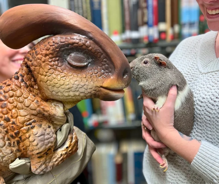 We are sorry to report that Winnie and Wilbur, the library's resident guinea pigs, will not be at the library for visits today, April 22, as originally planned. They will be back next week for their usual Winnie & Wilbur Wednesday and can't wait to see their adoring fans then!

Speaking of, Wilbur was definitely a fan of Ms. Carrow's dinosaur friend Cara the Para when he met her earlier this month! He couldn't believe his eyes that we had a dinosaur at the library. What have YOU been happily surprised to discover at the library?