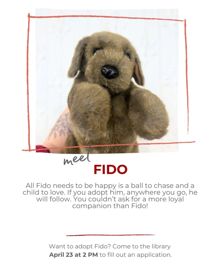 Here are some more of our adorable stuffies! Who will become your new best friend?