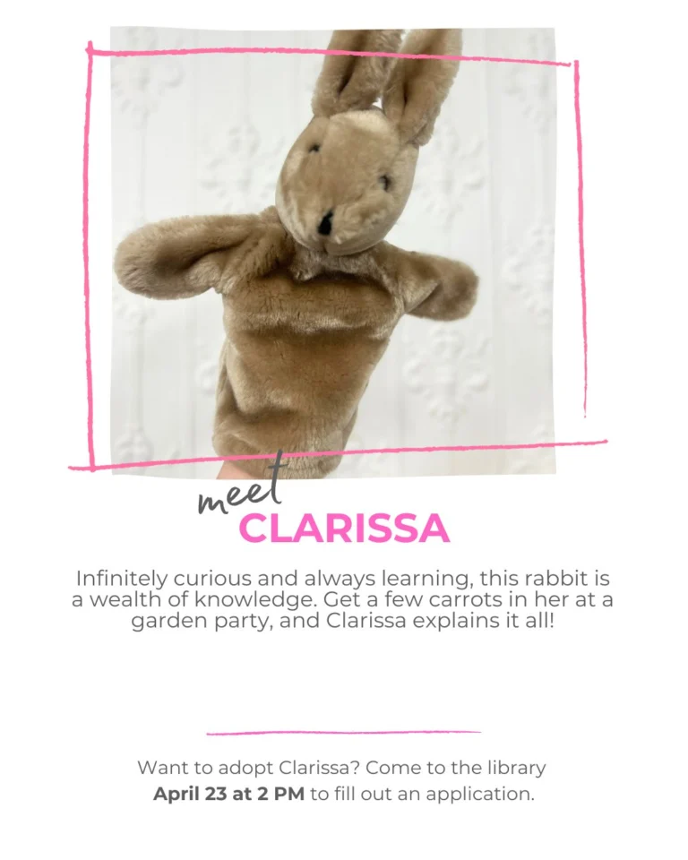 Here are some more of our adorable stuffies! Who will become your new best friend?