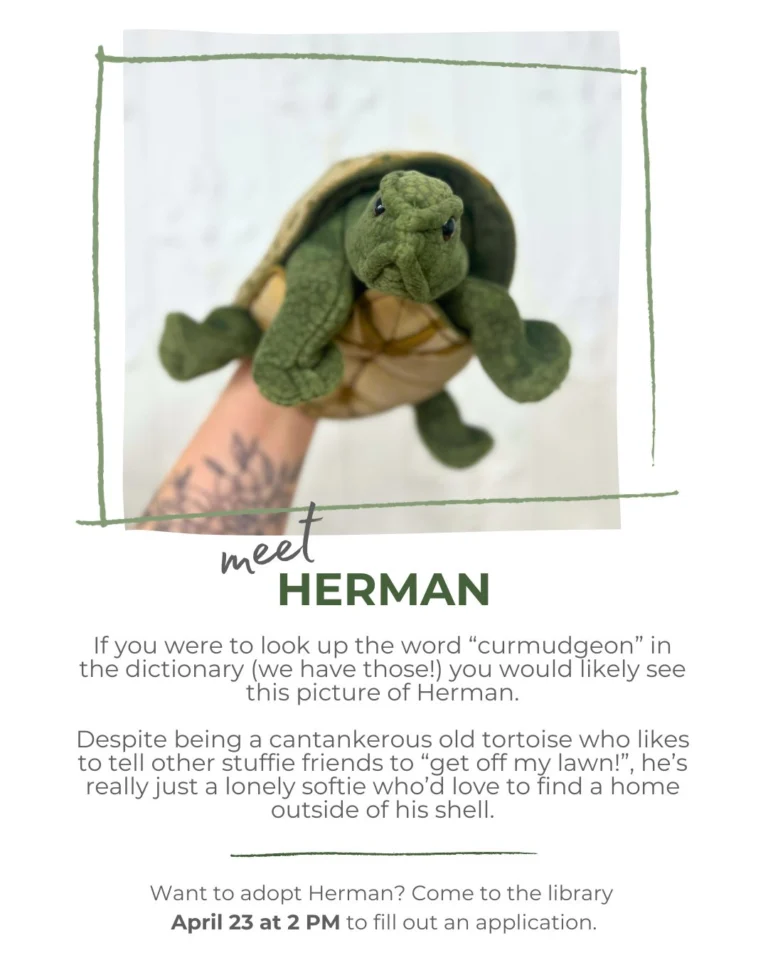 Meet some of our friendly stuffies who will be available for adoption on April 23rd at 2 PM!