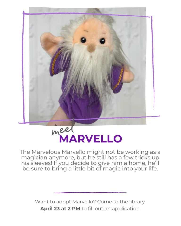 Meet some of our friendly stuffies who will be available for adoption on April 23rd at 2 PM!