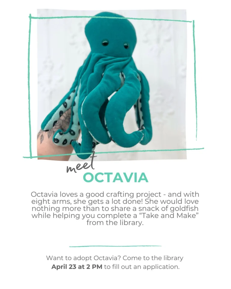 See you Thursday at 2 PM for our Stuffie Adoption Day!