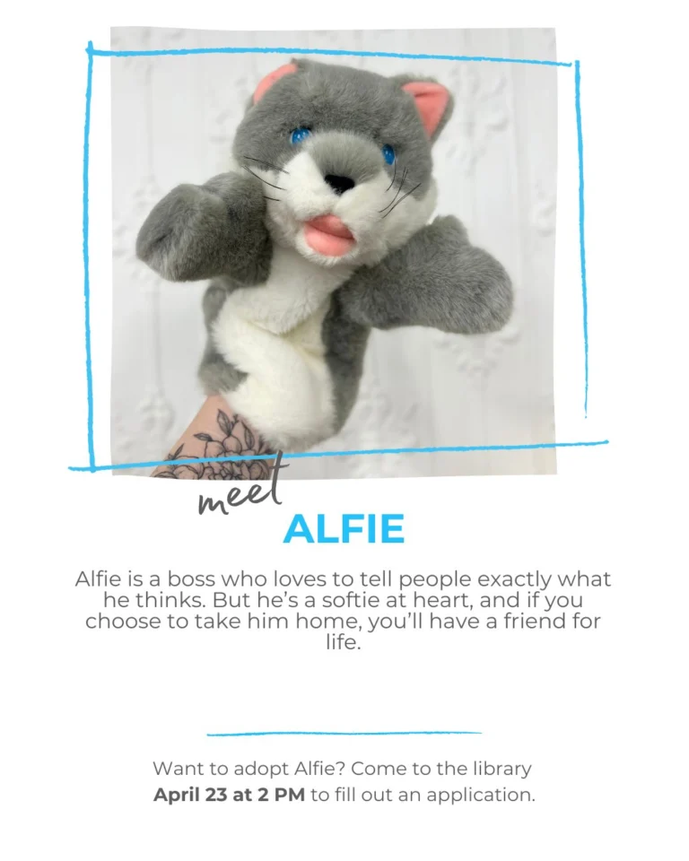 Here are some more of our adorable stuffies! Who will become your new best friend?